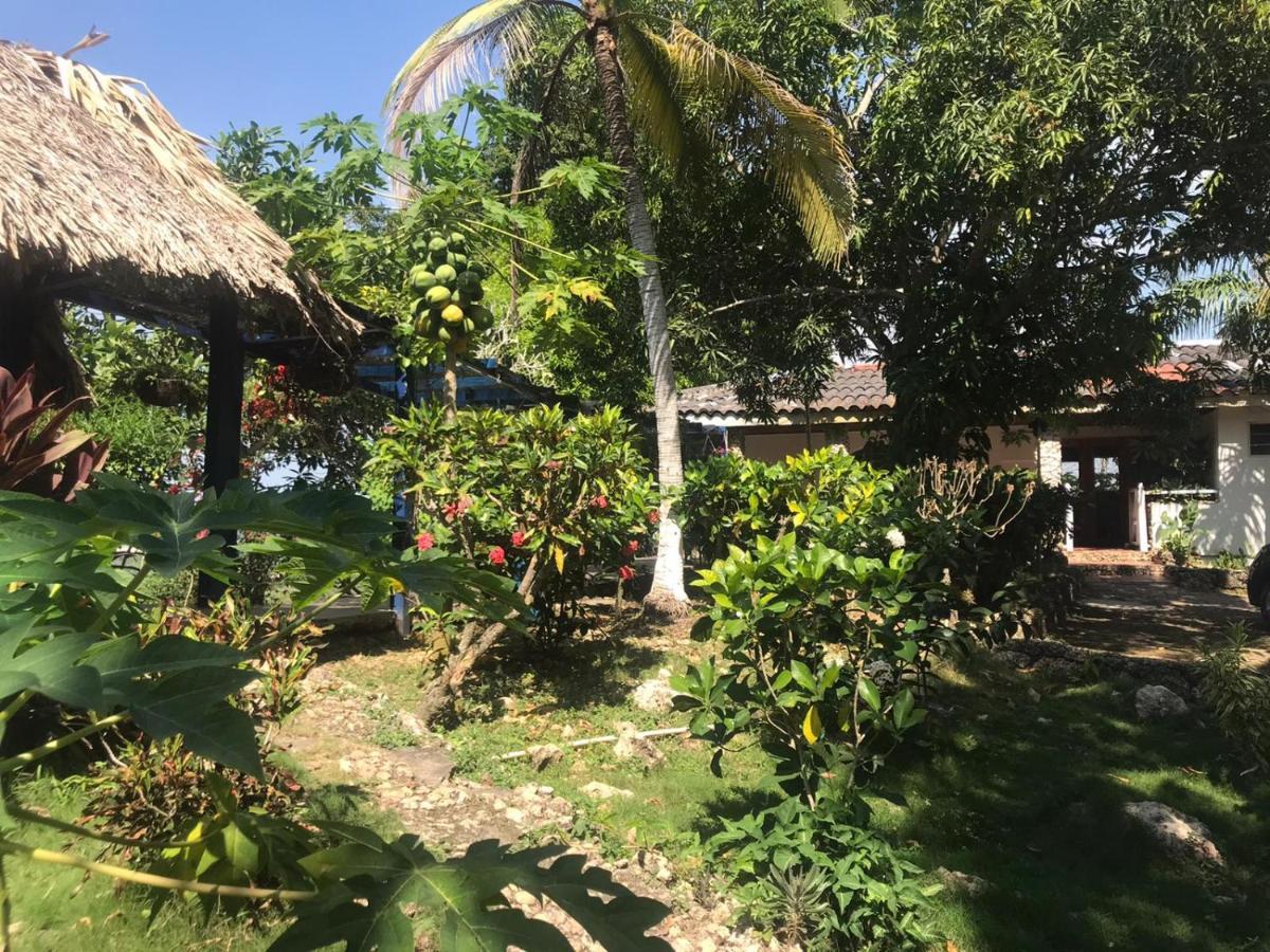 Casa Finca Tara